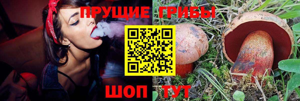 Псилоцибиновые грибы Psilocybine cubensis  Вход с VPN  Псилоцибиновые грибы ЛСД  Химки 